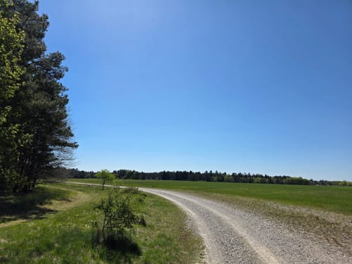 Durchs Naturschutzgebiet Mallertshofer Holz