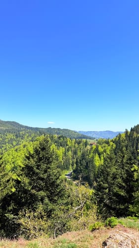 Kälbelescheuer-Nonnenmattweiher