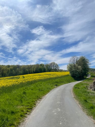 Main-Radweg Etappe 3: Bamberg - Schweinfurt