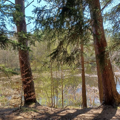 Von Spechtshausen zum Jungfernloch