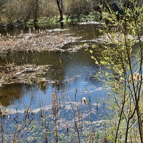 Von Spechtshausen zum Jungfernloch