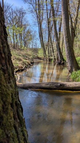 Von Buckow nach Tornow