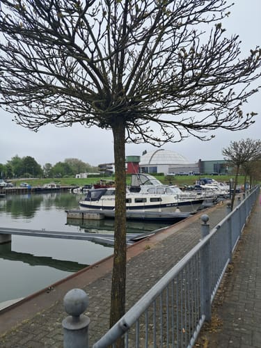 Mammutmarsch Ruhrgebiet 42km 2026