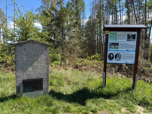 Rundwanderweg Hohenwarte H2: Natur und Bauwerk