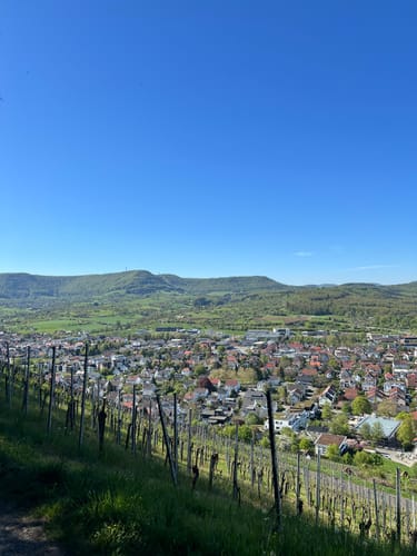 Gustav-Ströhmfeld-Weg