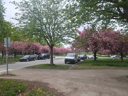 Stadtpark Winterhude