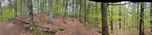 Durch Berg und Tal im Naturschutzgebiet Dalbekschlucht