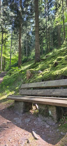 Heidelbeerweg (Premiumwanderweg)