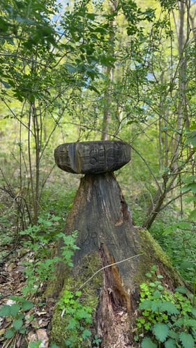 Rund um den Kurpark Bad Schwalbach