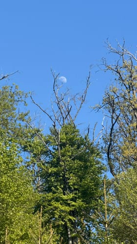 Rund um den Kurpark Bad Schwalbach