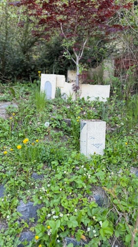 Rund um den Kurpark Bad Schwalbach