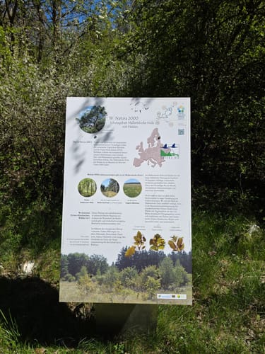 Durchs Naturschutzgebiet Mallertshofer Holz