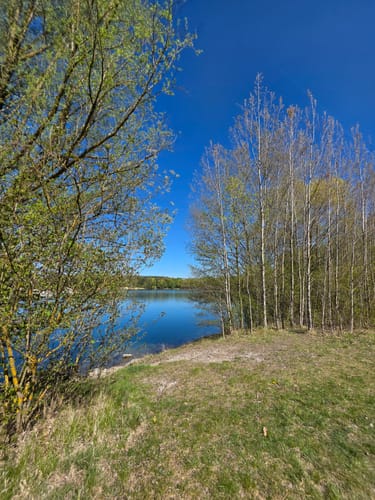 Durchs Naturschutzgebiet Mallertshofer Holz