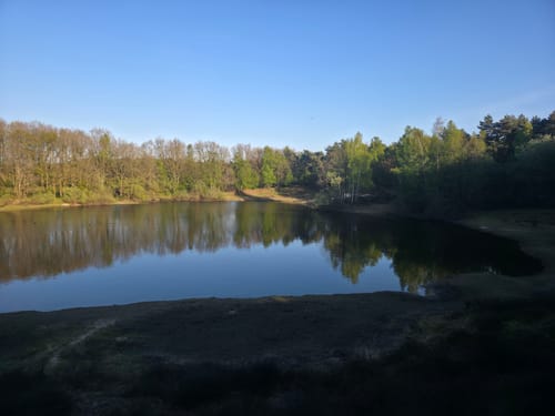 Wachendorfer See und Wacholderheide bei Lingen