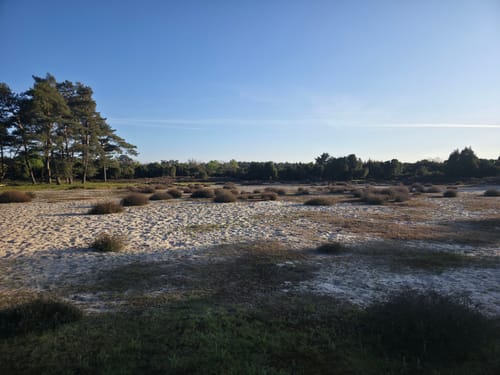 Wachendorfer See und Wacholderheide bei Lingen