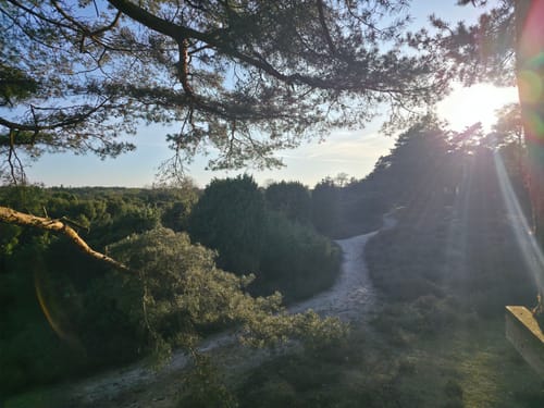 Wachendorfer See und Wacholderheide bei Lingen
