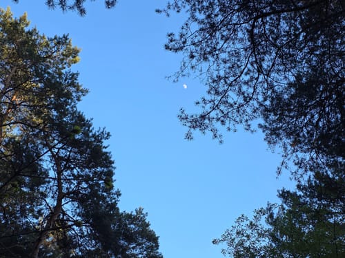 Wachendorfer See und Wacholderheide bei Lingen