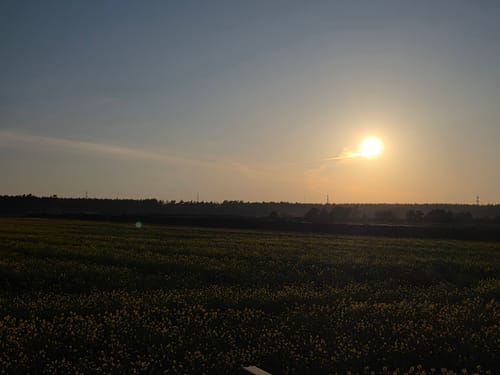 Wachendorfer See und Wacholderheide bei Lingen