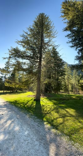 Vom Hintersee zur Engert Holzstube