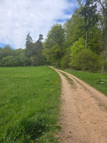 Aar-Höhenweg Etappe 1: Orlen - Bad Schwalbach