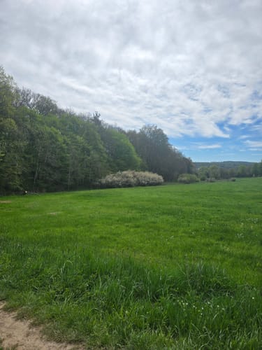 Aar-Höhenweg Etappe 1: Orlen - Bad Schwalbach