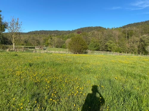 Rurtalweg
