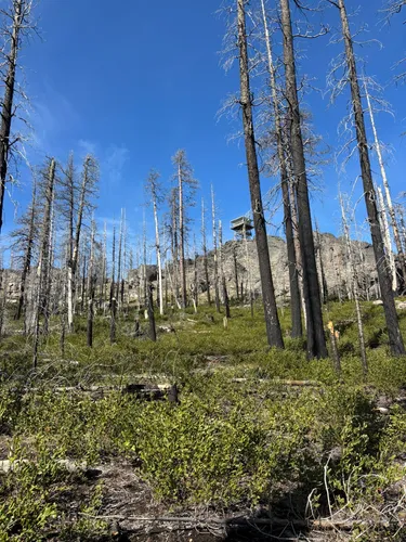Gearhart Mountain Trail [CLOSED], Oregon - 22 Reviews, Map | AllTrails