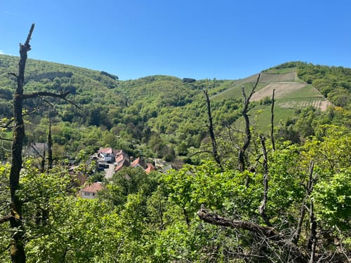 Schäferplagen, Schlossberg und Altenbaumburg