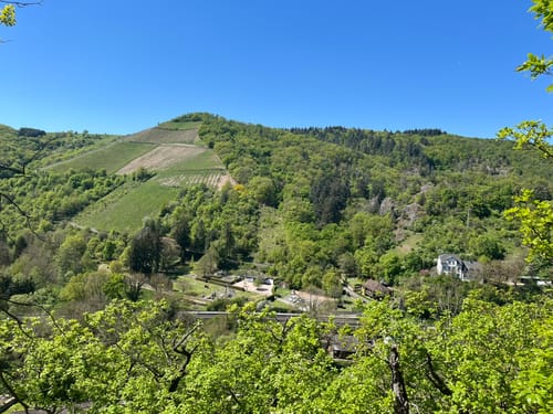 Schäferplagen, Schlossberg und Altenbaumburg