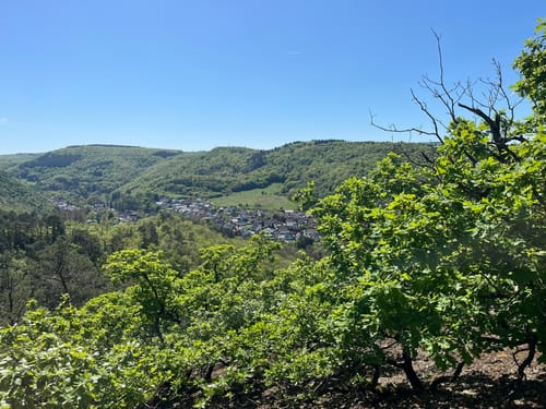 Schäferplagen, Schlossberg und Altenbaumburg