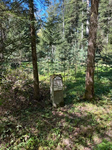 Maisenbach - Zainen Runde