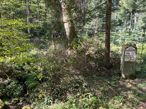 Maisenbach - Zainen Runde