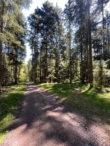 Maisenbach - Zainen Runde