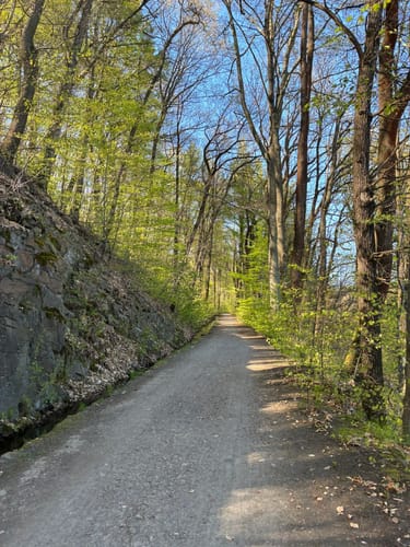Floßgrabenwanderung