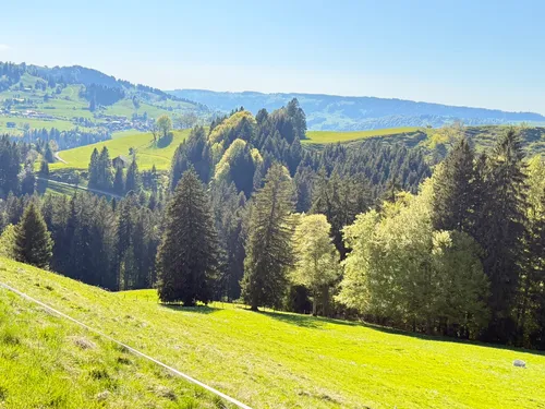 2000-jhrige Eibe: Die besten Routen in der Umgebung | AllTrails