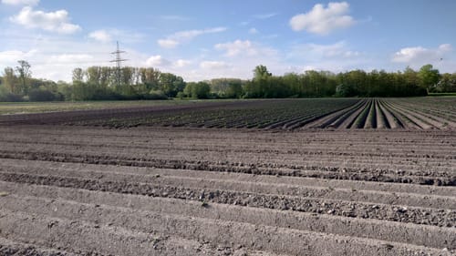 Kaarster Seen Runde