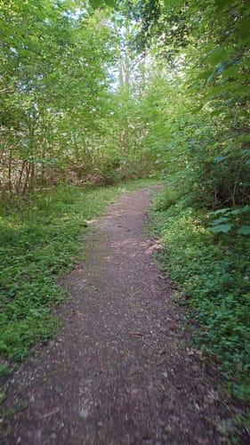Kaarster Seen Runde