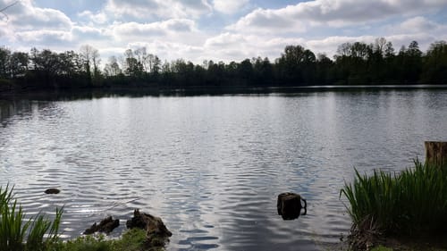 Kaarster Seen Runde