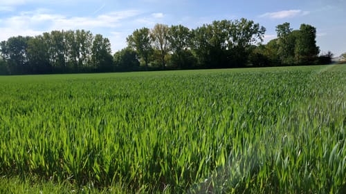 Kaarster Seen Runde