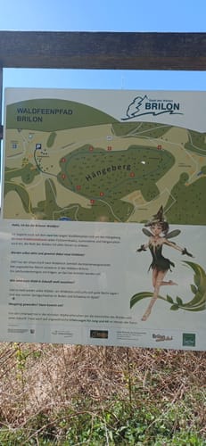 Briloner Waldfeenpfad