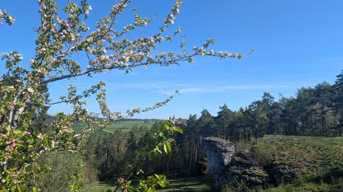 Auf dem Kreuzstein