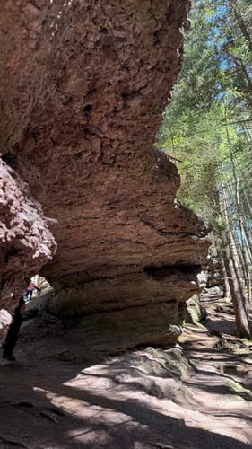 Alte Tambacher Talsperre Rundwanderung
