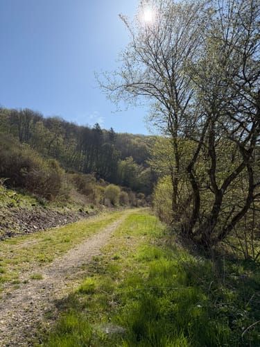 Irsenpfad (Premiumwanderweg)