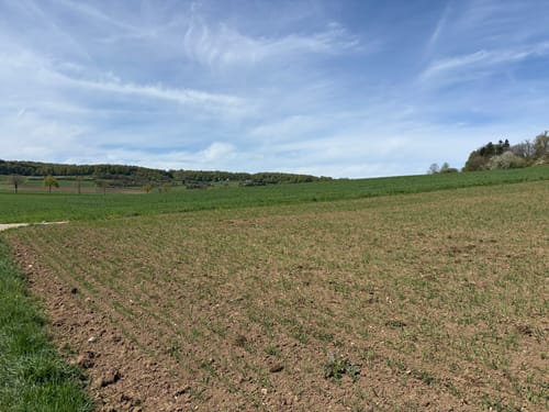 Geologischer Lehrpfad Meteorkrater
