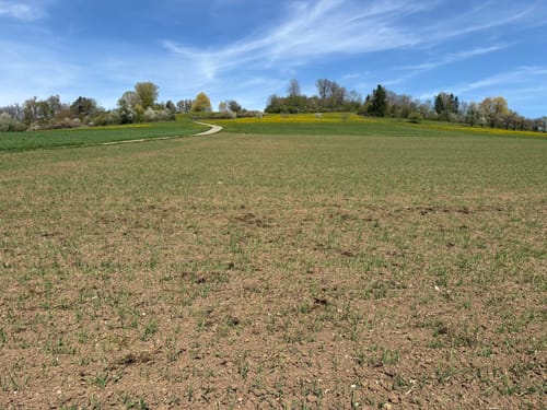 Geologischer Lehrpfad Meteorkrater