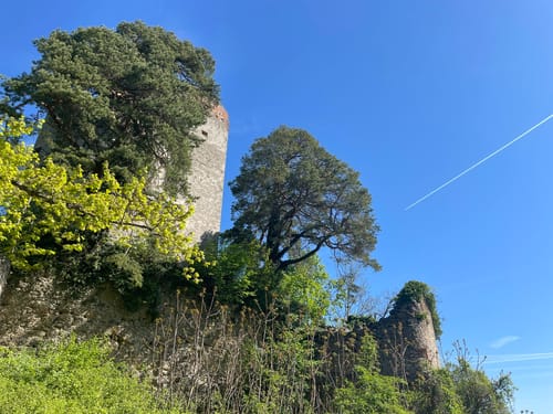 Marienschlucht Rundweg ab Bodman