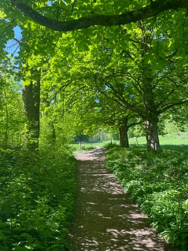 Marienschlucht Rundweg ab Bodman