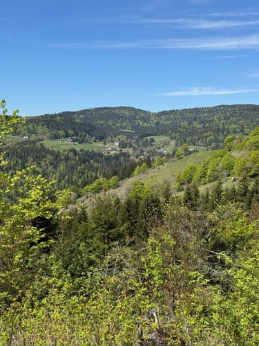 Um den Häusleberg