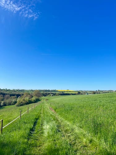 Kylltaler Buntsandsteintour (Premiumwanderweg)