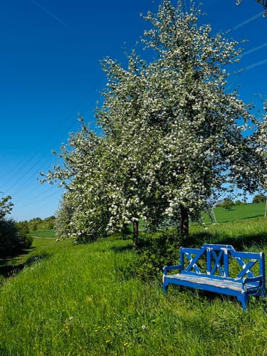 Kylltaler Buntsandsteintour (Premiumwanderweg)